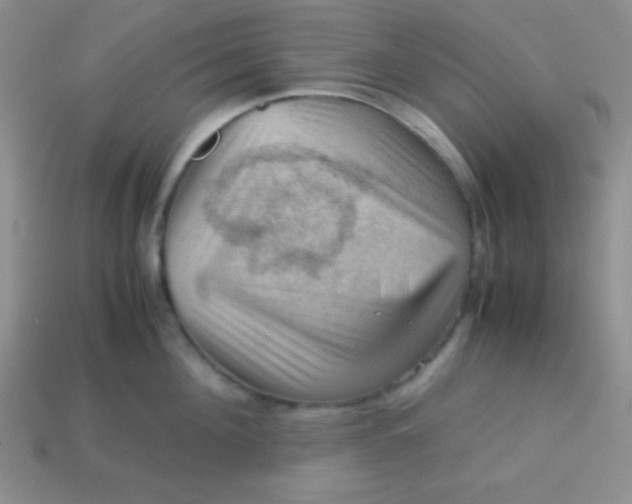 X0000113590908200910091457