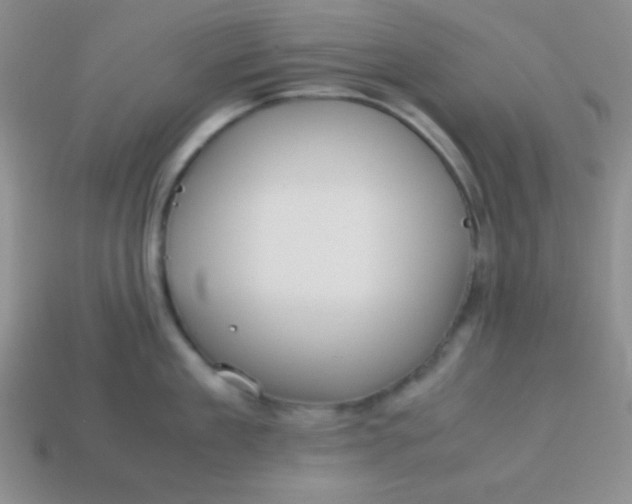 X0000113590909200910091457