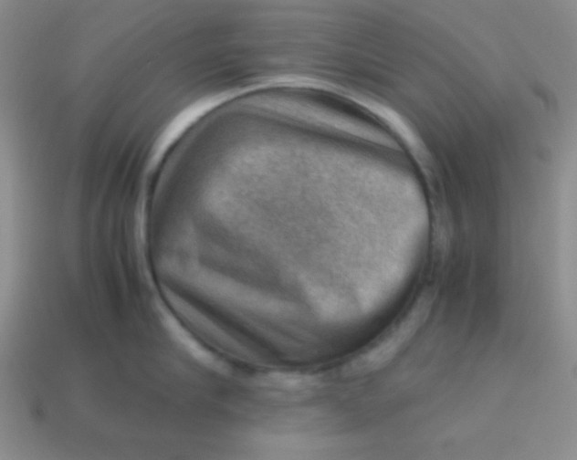 X0000113590910200910091457