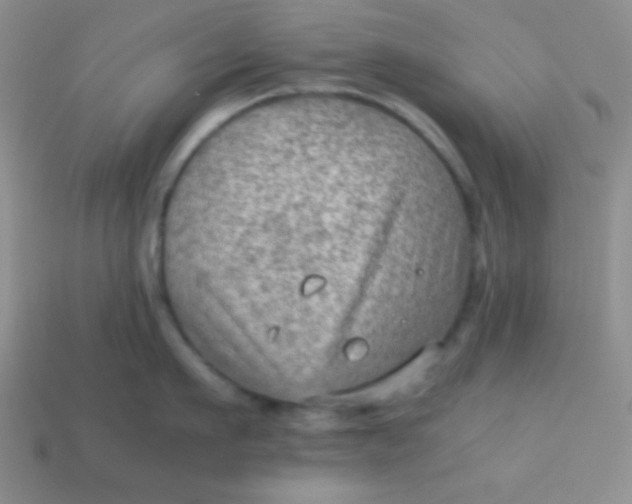 X0000113590911200910091457