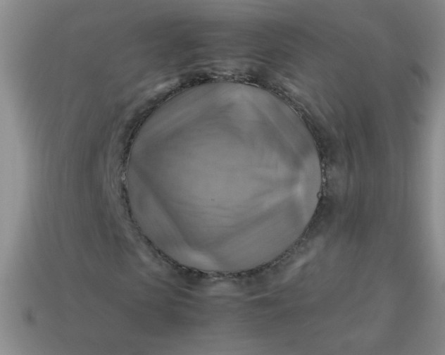 X0000113590913200910091456