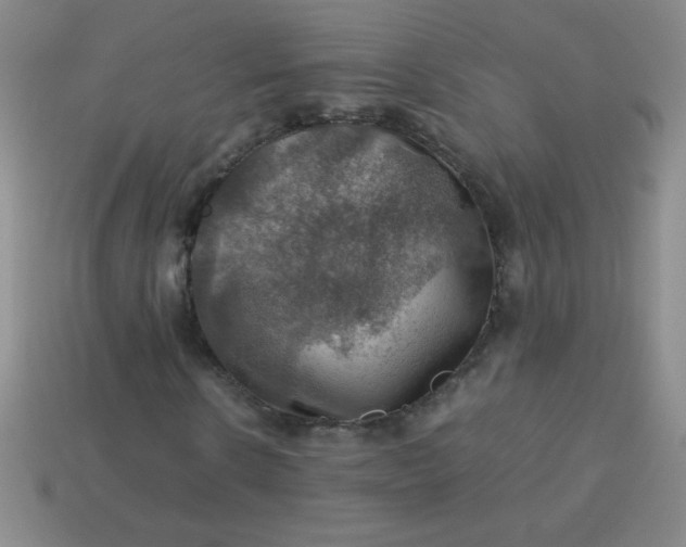 X0000113590914200910091456