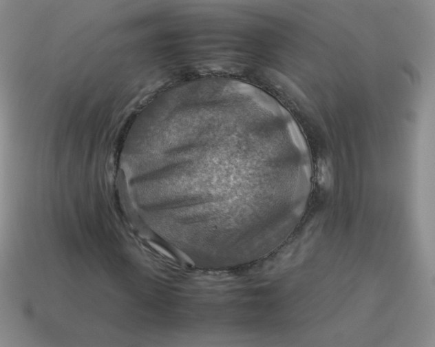 X0000113590915200910091456