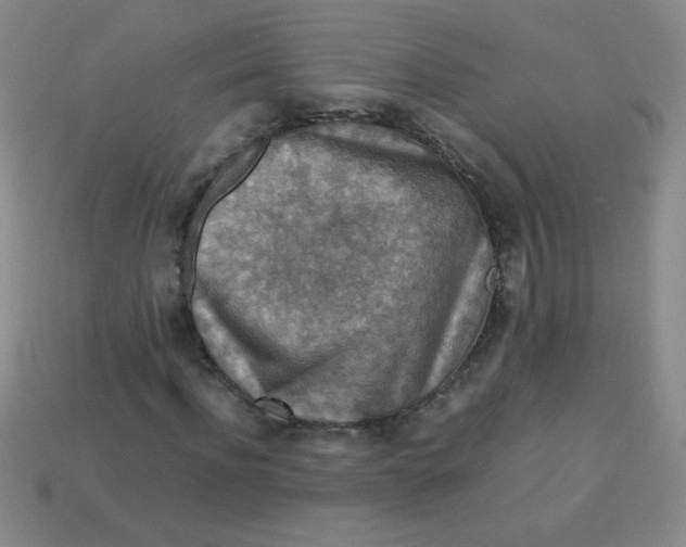 X0000113590916200910091456