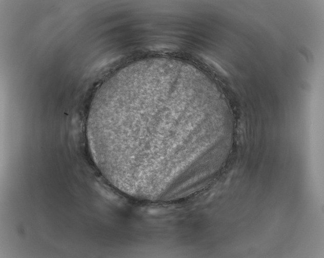 X0000113590917200910091456