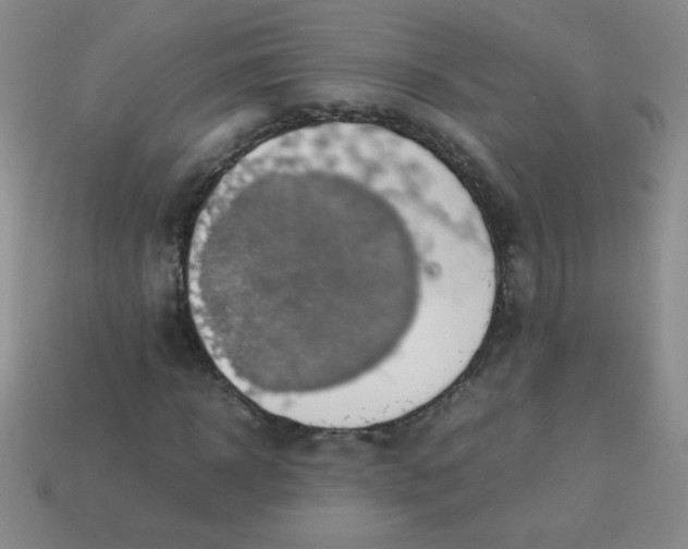 X0000113590918200910091456