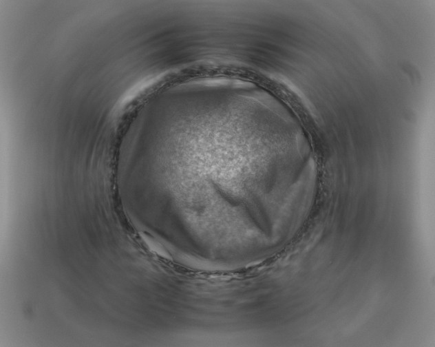 X0000113590919200910091456