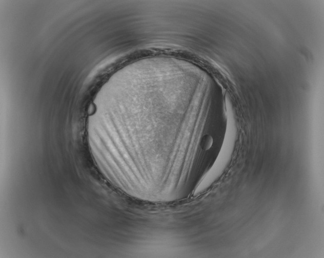 X0000113590920200910091456