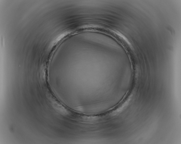 X0000113590921200910091456