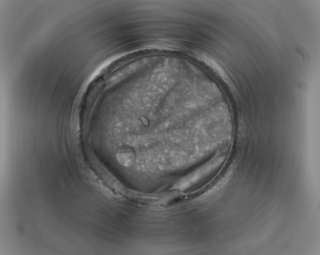 X0000113590923200910091456