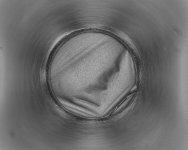 X0000113590924200910091456