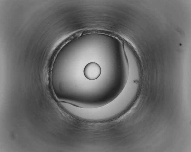 X0000113590925200910091456