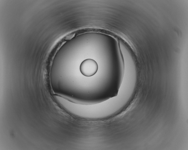 X0000113590926200910091456