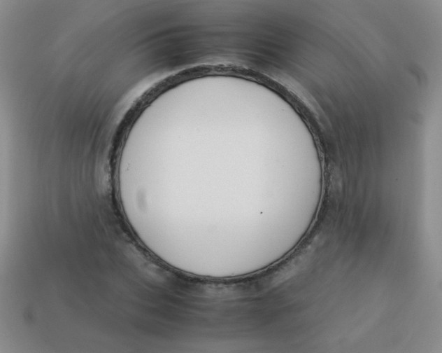 X0000113590927200910091456