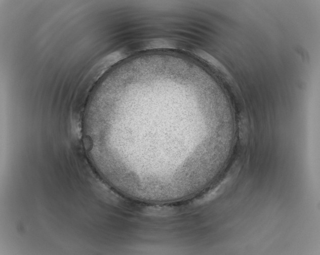 X0000113590929200910091456