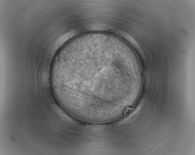 X0000113590930200910091456