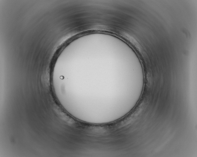 X0000113590931200910091456