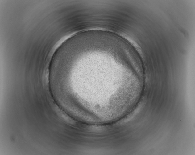 X0000113590933200910091456