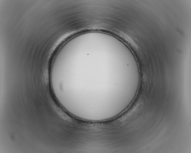 X0000113590934200910091456