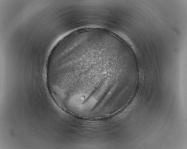 X0000113590935200910091456