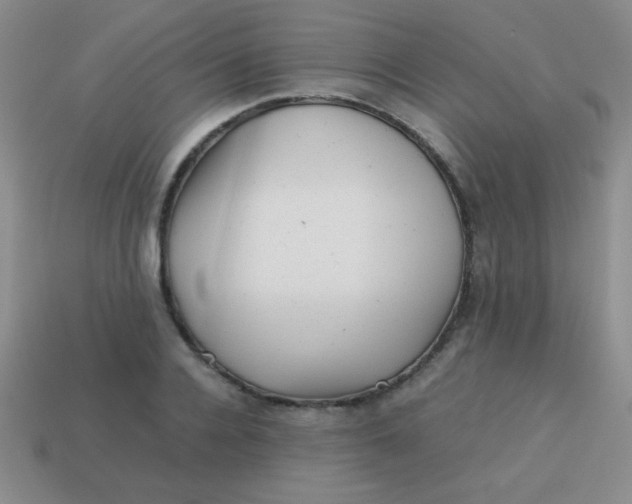 X0000113590936200910091456