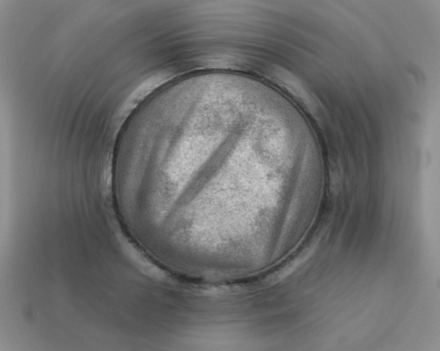 X0000113590938200910091456