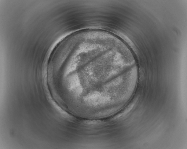 X0000113590939200910091456