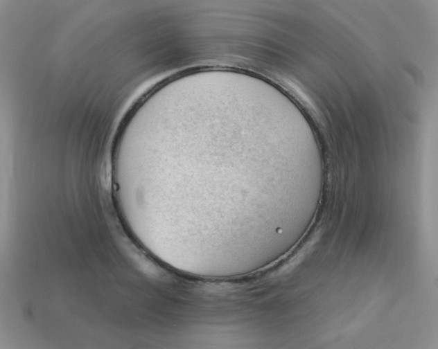 X0000113590940200910091456