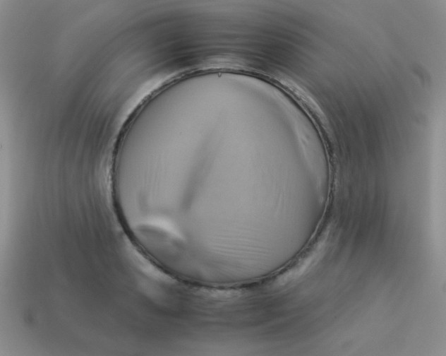 X0000113590941200910091456