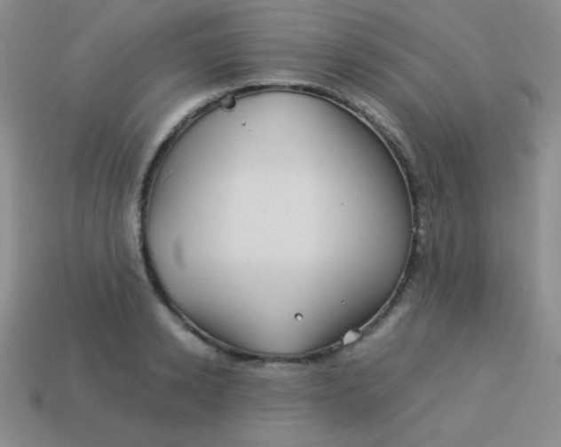 X0000113590942200910091457