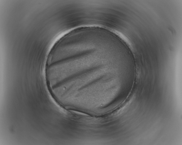 X0000113590943200910091457