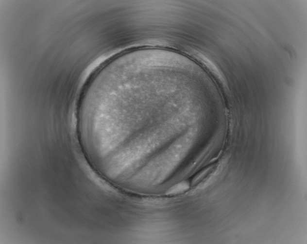 X0000113590944200910091457