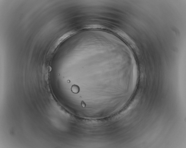 X0000113590945200910091457