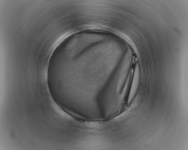 X0000113590946200910091457