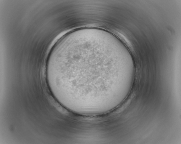 X0000113590948200910091457