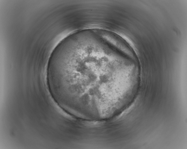 X0000113590949200910091457