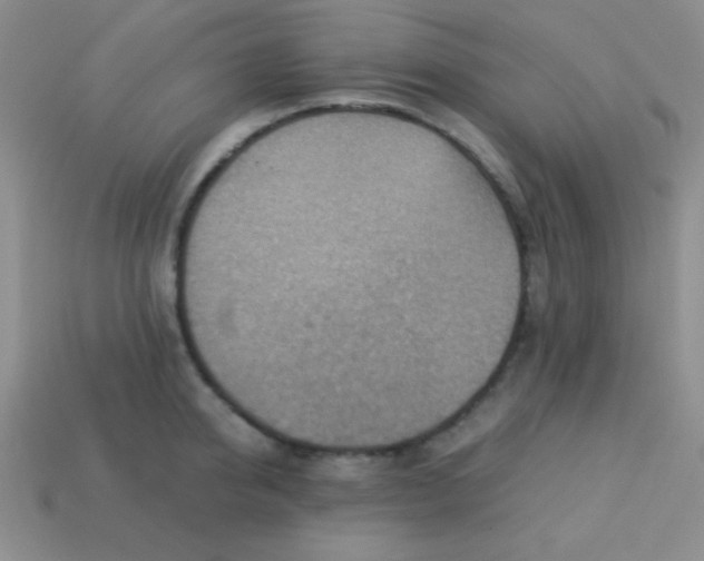 X0000113590950200910091457