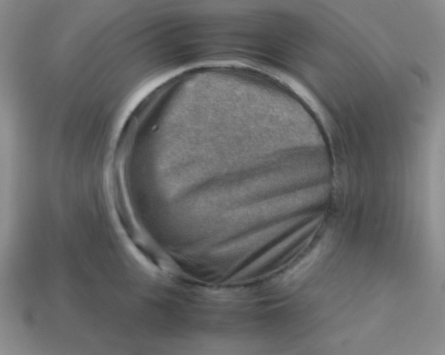 X0000113590951200910091457