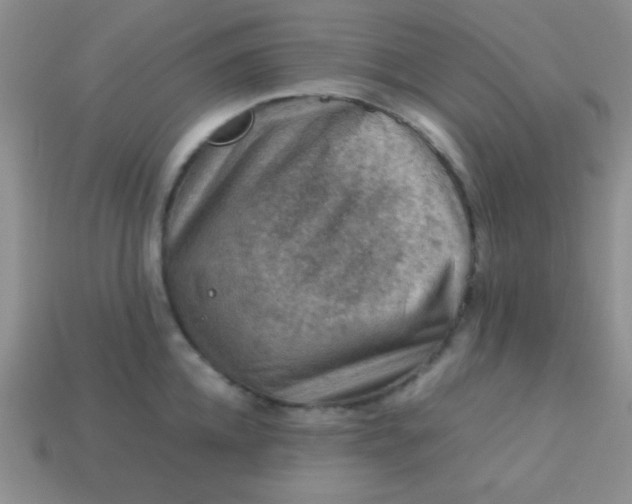 X0000113590952200910091457