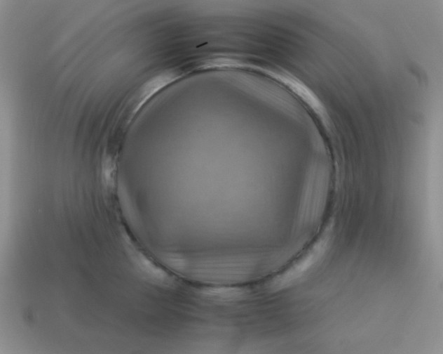 X0000113590953200910091457