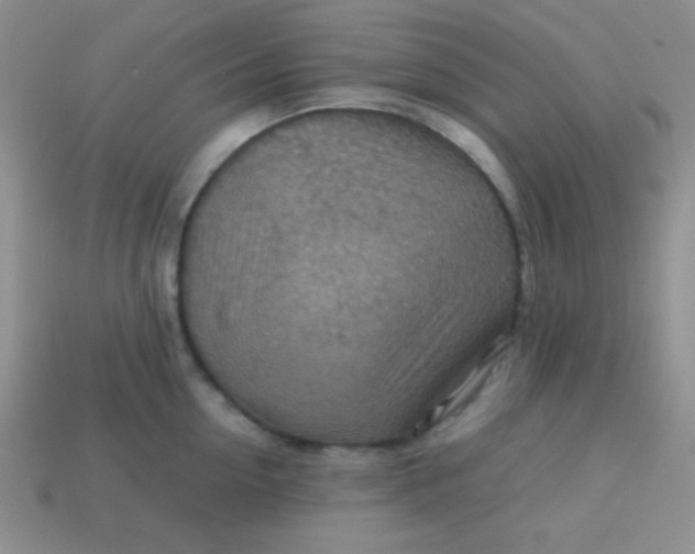 X0000113590954200910091457