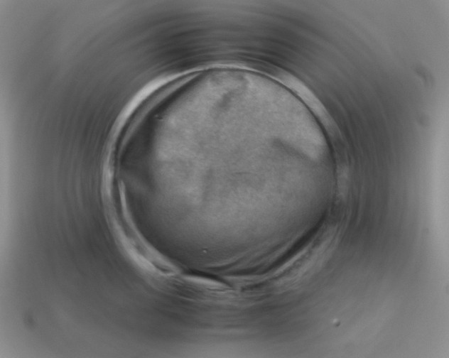 X0000113590955200910091457