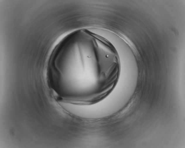 X0000113590956200910091457