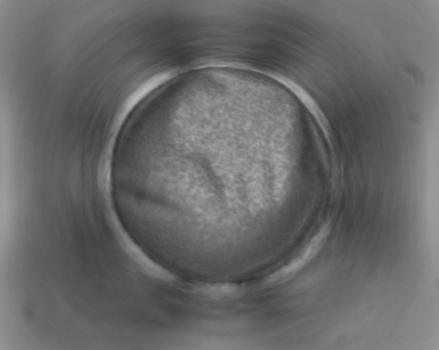 X0000113590957200910091457