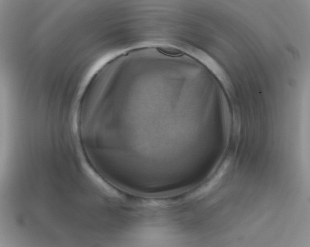 X0000113590958200910091457