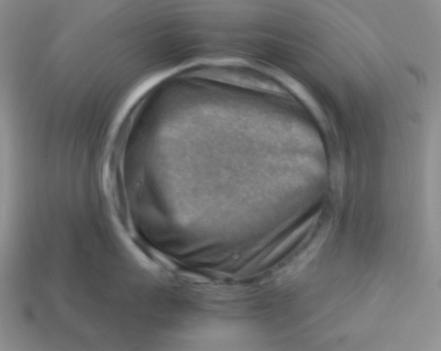 X0000113590959200910091457