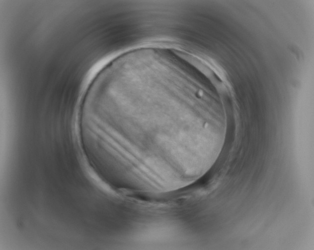 X0000113590960200910091457