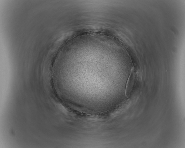 X0000113590961200910091456