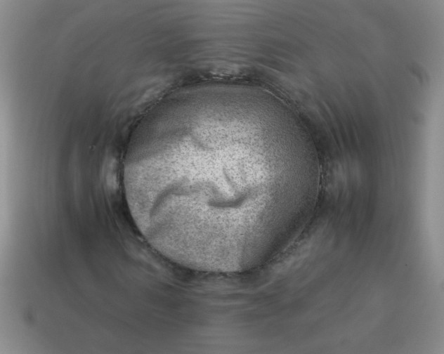 X0000113590962200910091456