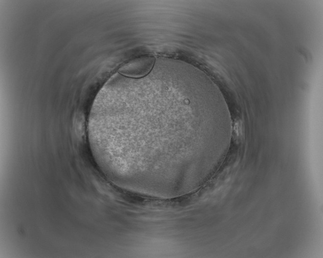 X0000113590963200910091456